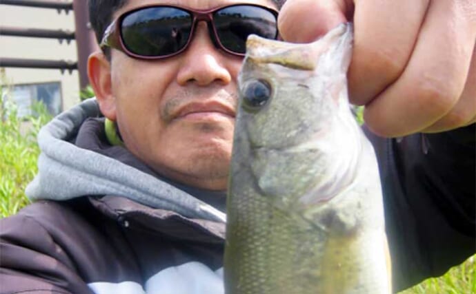 大雨後のブラックバス釣りで27cm頭に本命3匹キャッチ【岐阜・大江川