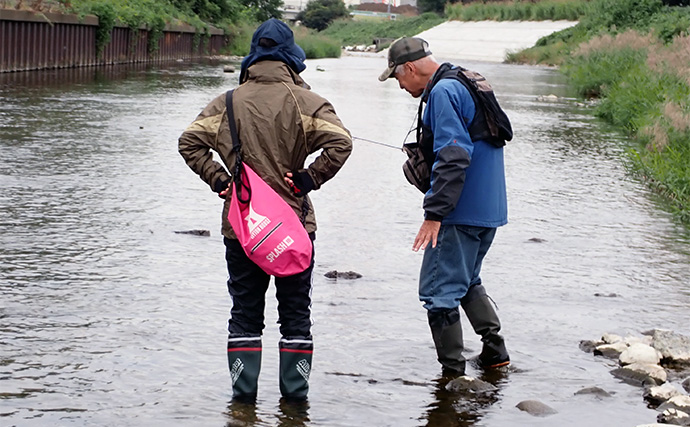 流し毛鉤でオイカワ釣り堪能【埼玉・柳瀬川】手軽なのに奥が深い淡水