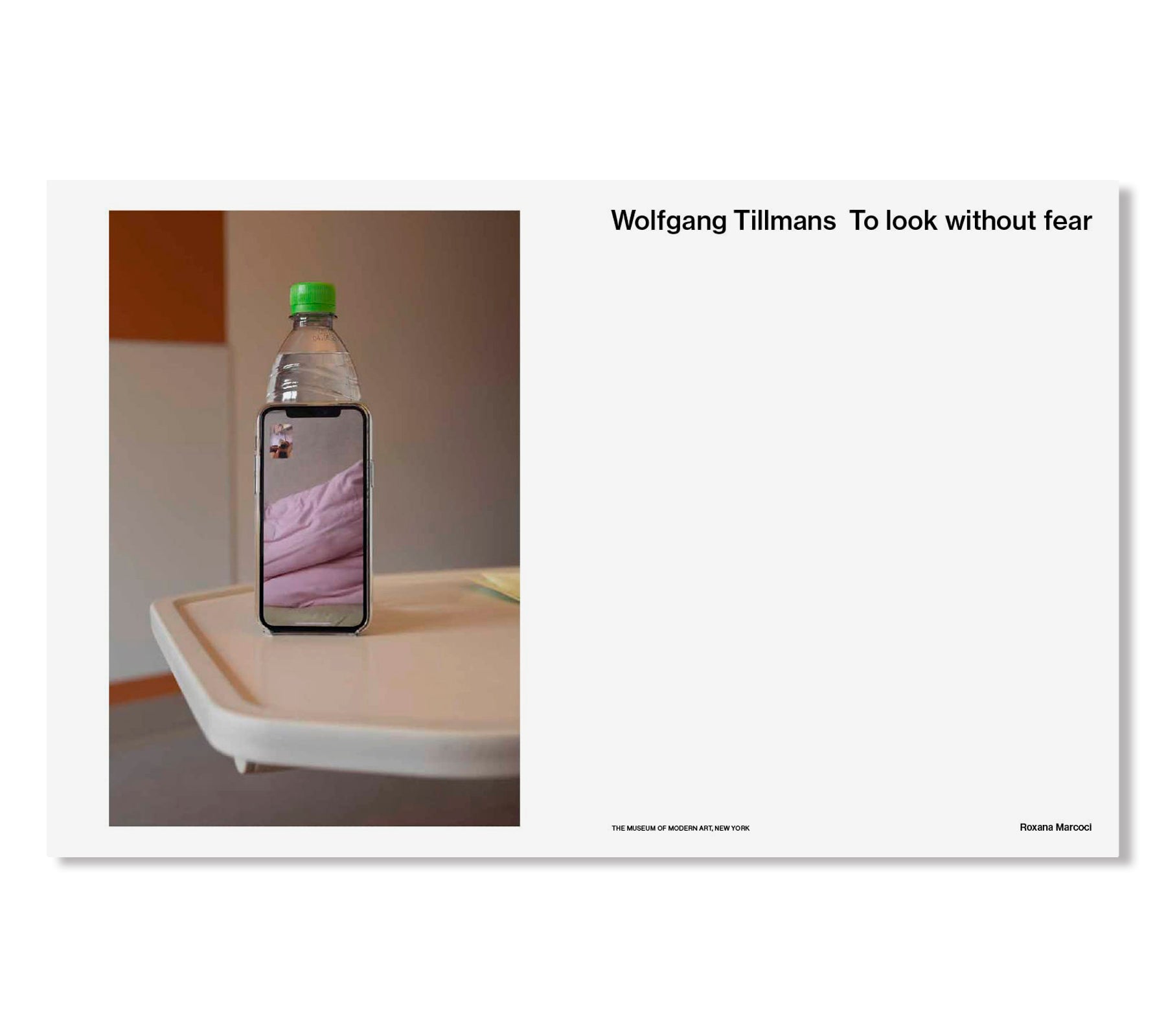 TO LOOK WITHOUT FEAR by Wolfgang Tillmans – twelvebooks