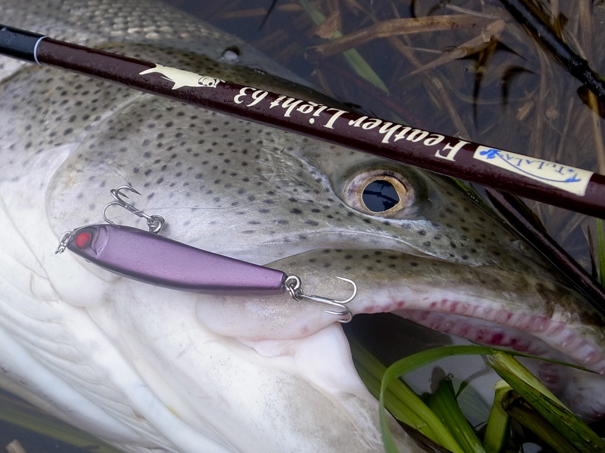 TULALA | Ford every stream | » Feather Light 63
