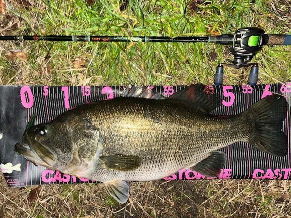 TULALA | Ford every stream | » 【STAFF】ブレイクフリー グラットン