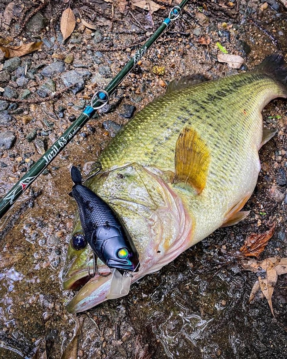 TULALA | Ford every stream | » 【公式】フライテクス Jazil