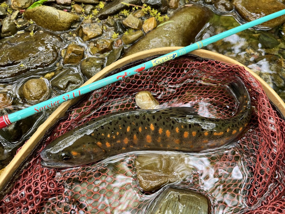 TULALA | Ford every stream | » 【STAFF】ソルシエ52ULの汎用性を再