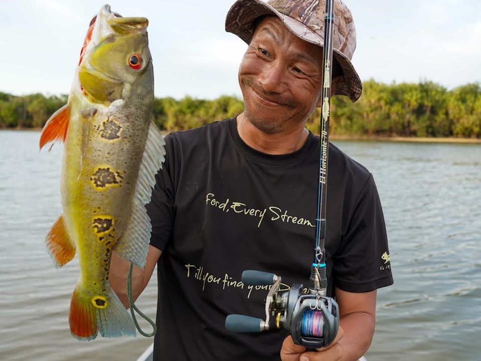 TULALA | Ford every stream | » 【STAFF】アマゾンでのエルホリゾンテ