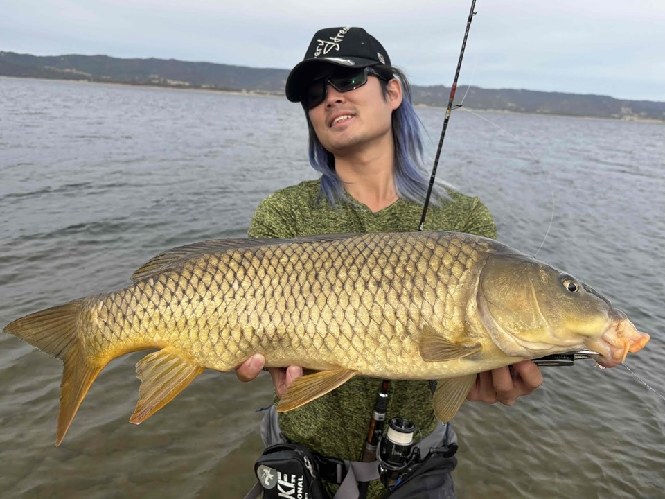 TULALA | Ford every stream | » News_Category » TULALA M.M.A