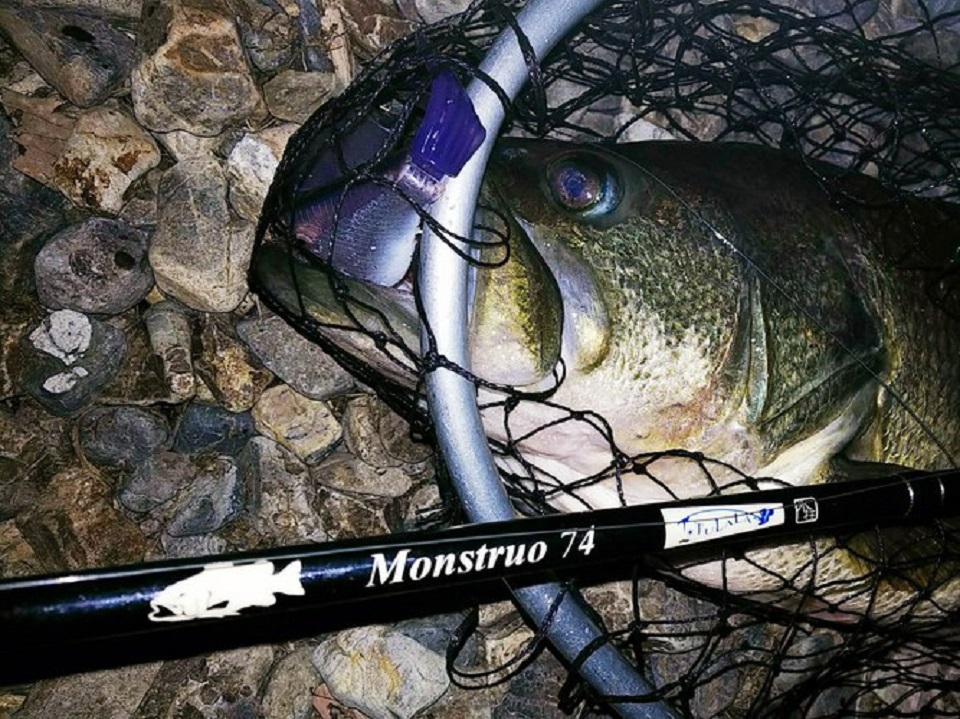 TULALA | Ford every stream | » 【STAFF】スーパーバーサタイル