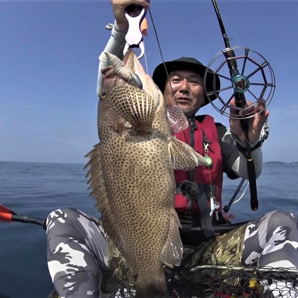 TULALA | Ford every stream | » 【公式】リスぐるま新カラー発売