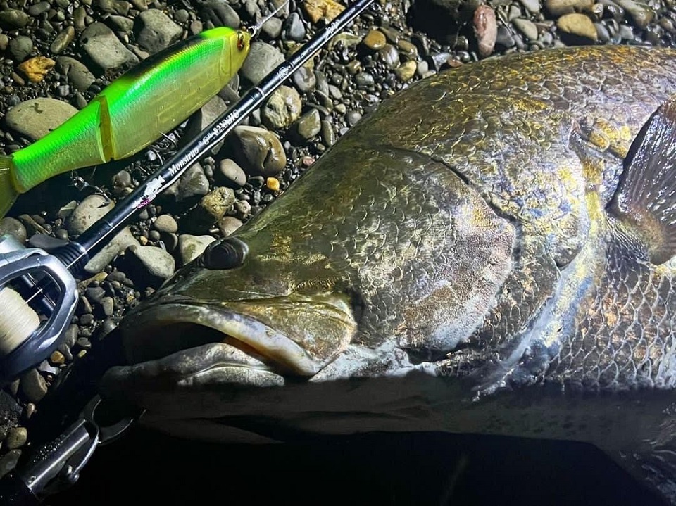 未使用品ツララ/モンストロ'G'711XHC ビックベイト/ジャイアント