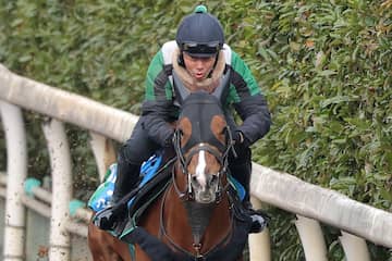 シェイクユアハート - 競走馬データTOP｜競馬予想のウマニティ