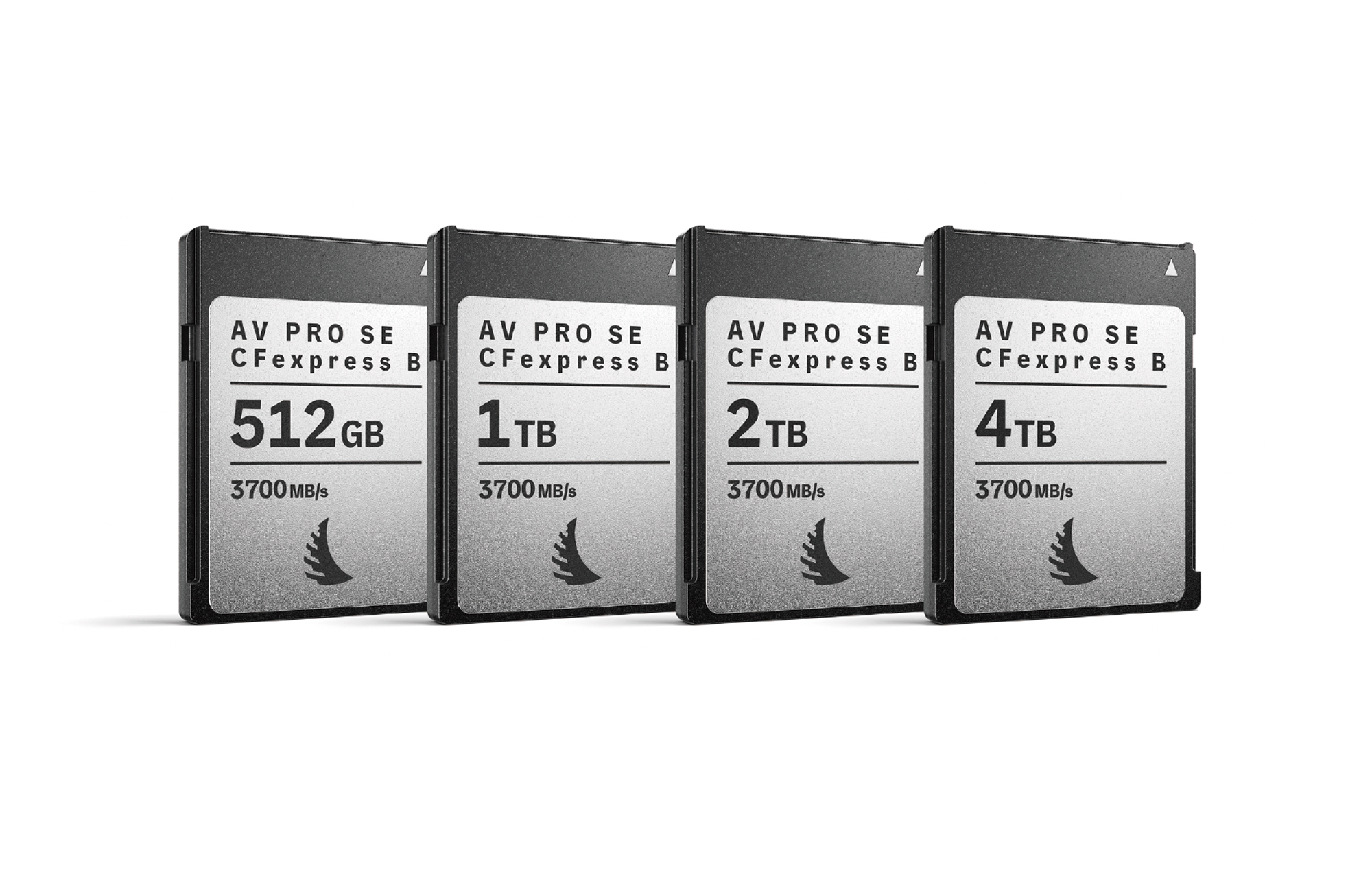 ディリゲント、AngelbirdのType B カード「AV PRO SE CFexpress B v4