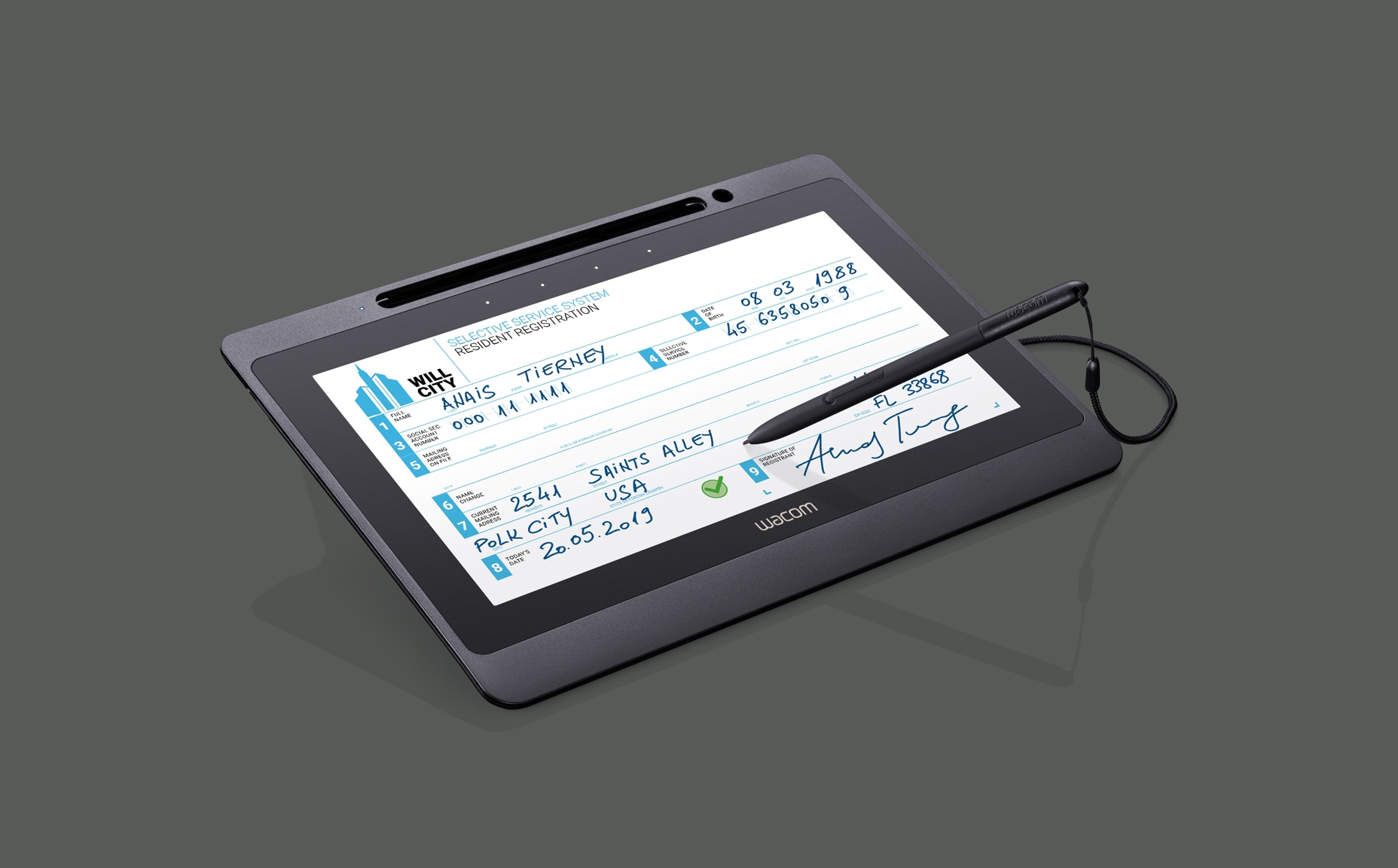 Wacom DTU-1141B Pen Display - Wacom BD