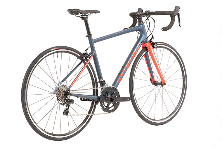 2019 スペシャライズド アレー スポーツ - 轍屋自転車店