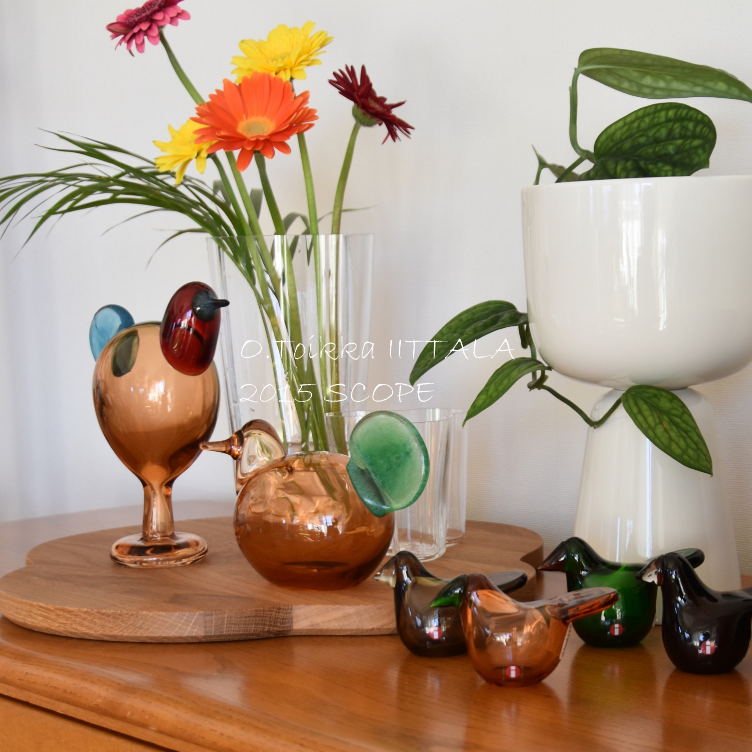 scope 】OMK 懐かしの別注シエッポと記念日バード【 iittala 2015