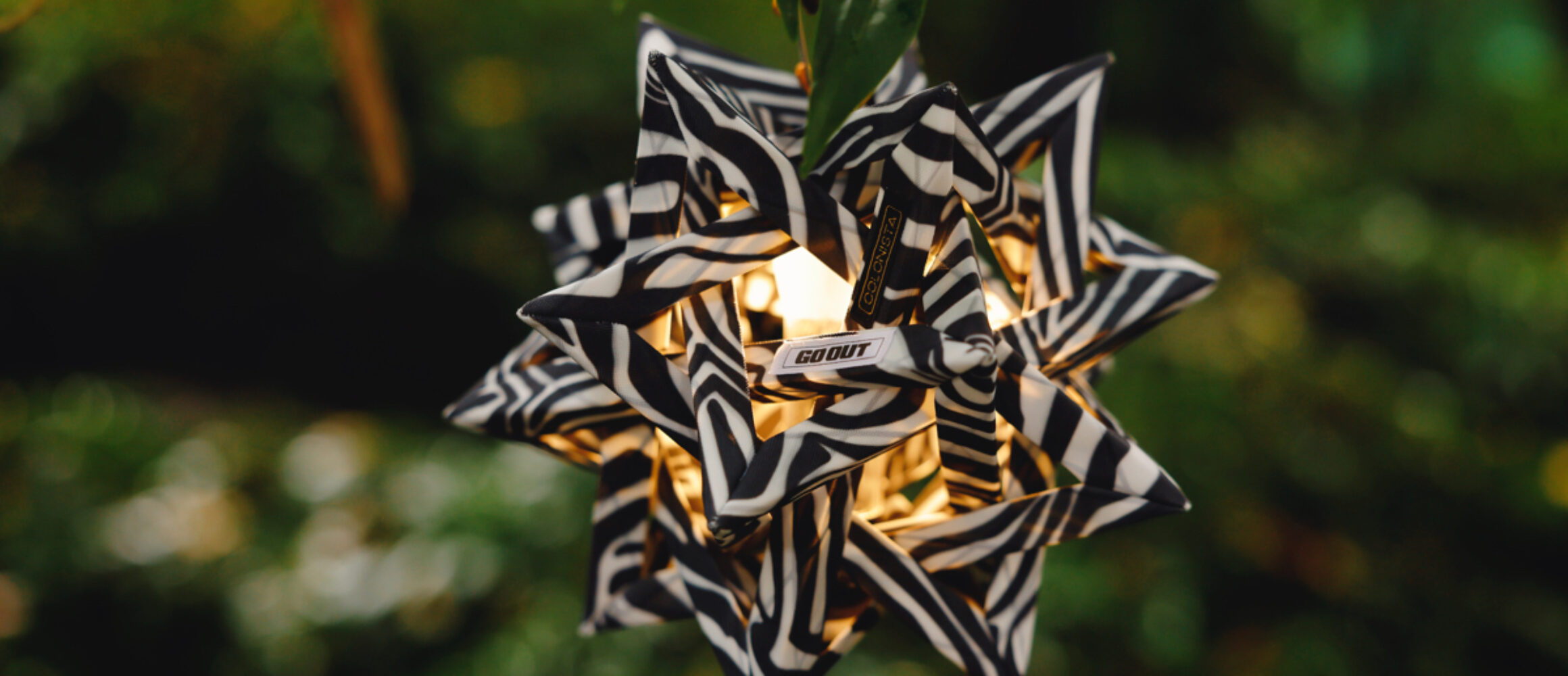 コラボのゼブラ柄をまとった限定カラーのCONPE10。コロニスタの人気