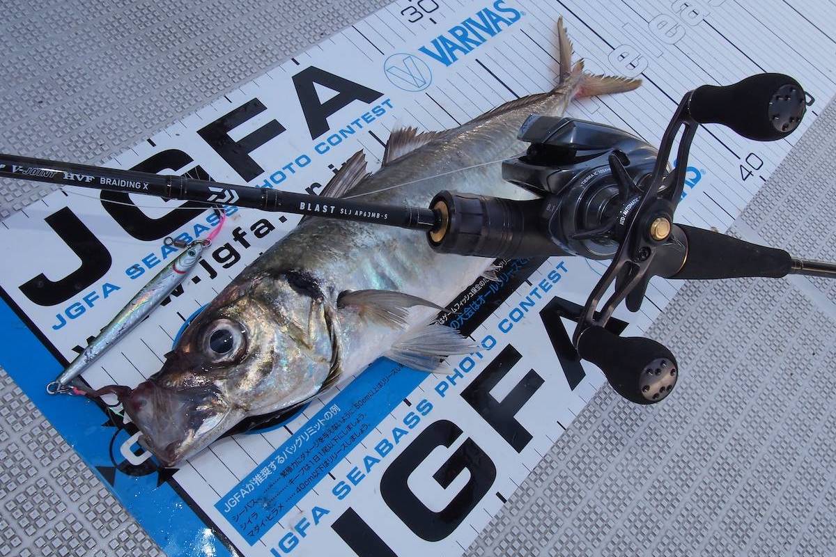 SLJ（スーパーライトジギングロッド）おすすめ人気18選｜価格・特徴