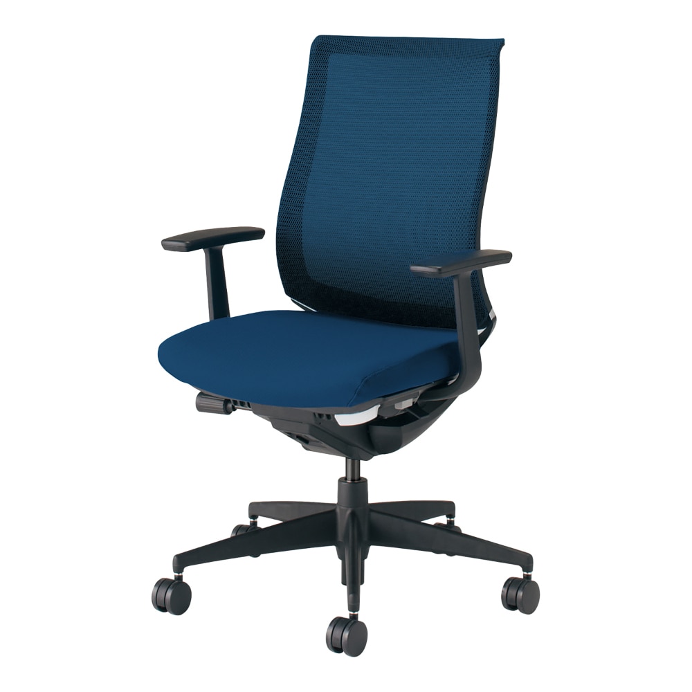 Bezel ベゼル／モデレートタイプ／T型肘／ブラック樹脂脚／ランバー