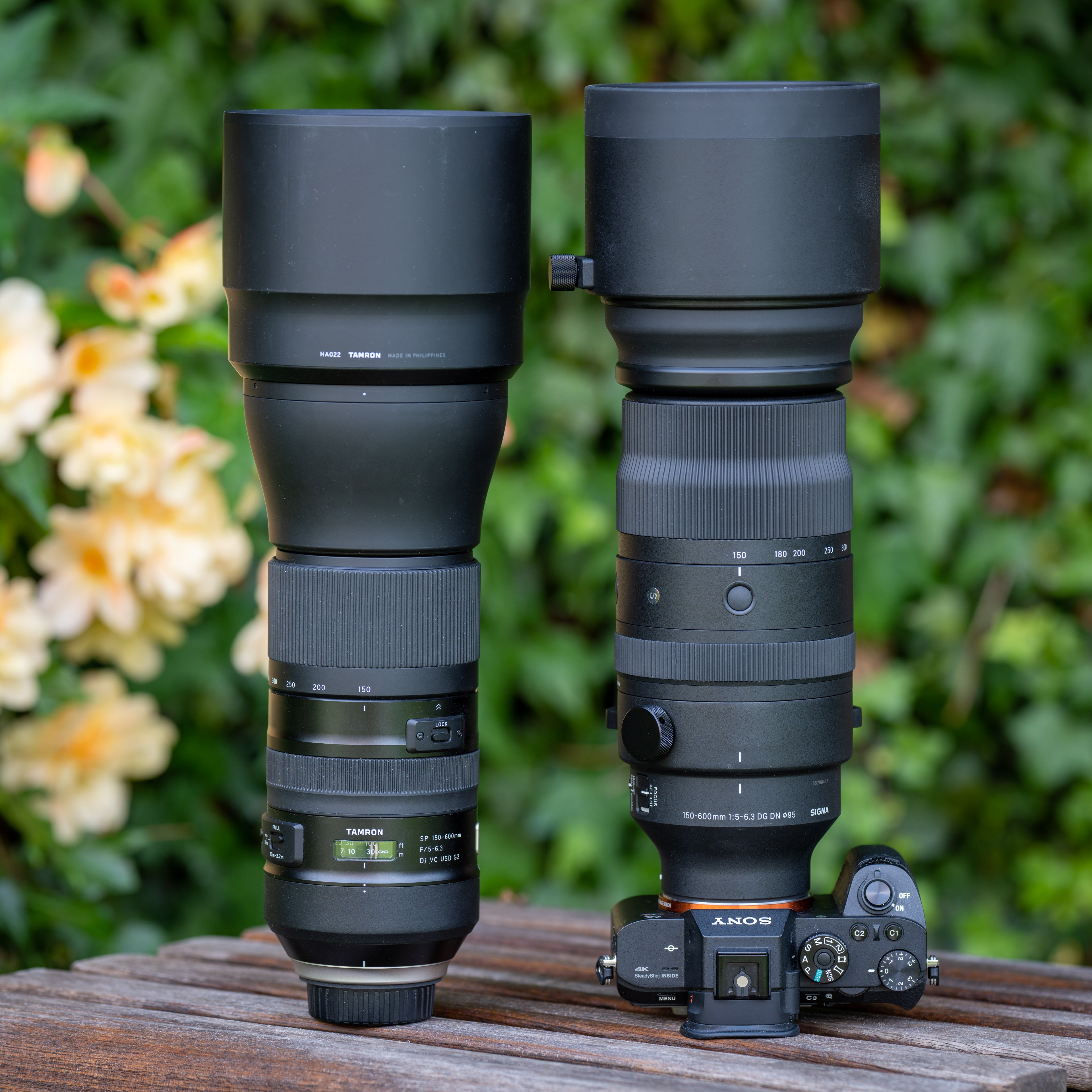 Sigma 150-600mm f5-6.3 DG DN OS review | Cameralabs
