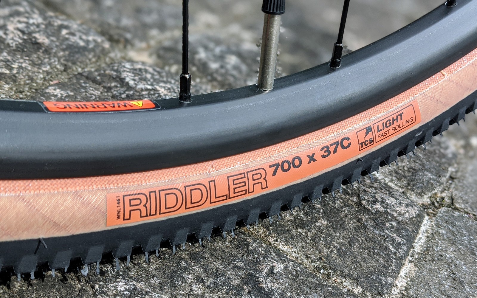 9月, 2020 | キャノンデール横浜