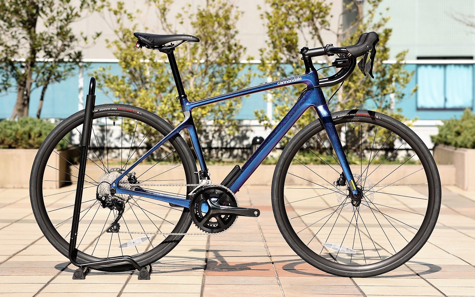 2月, 2023 | キャノンデール横浜