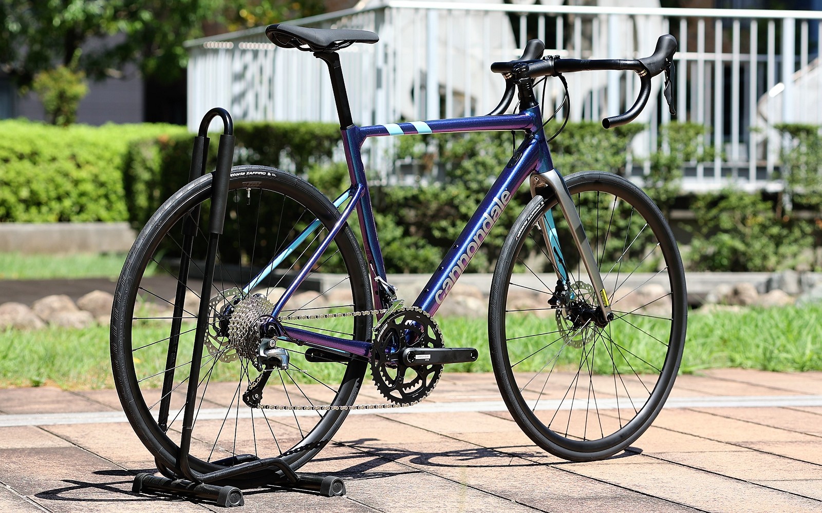 2024 | キャノンデール横浜