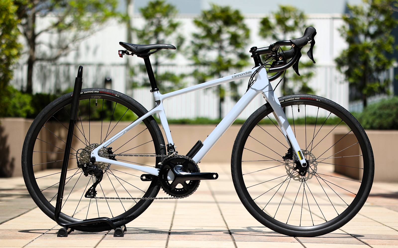 春のスタートアップキャンペーン対象！Synapse Carbon 3 L ダスト