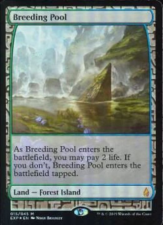 FOIL)繁殖池/Breeding Pool《英語》【EXP】