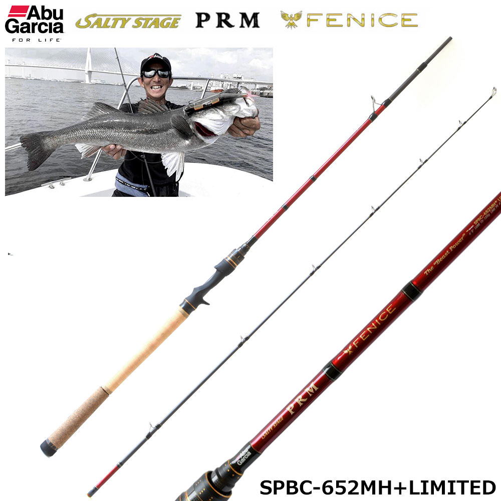 アブガルシア(Abu Garcia) ホーネットスティンガープラス HSPC-672X-BB