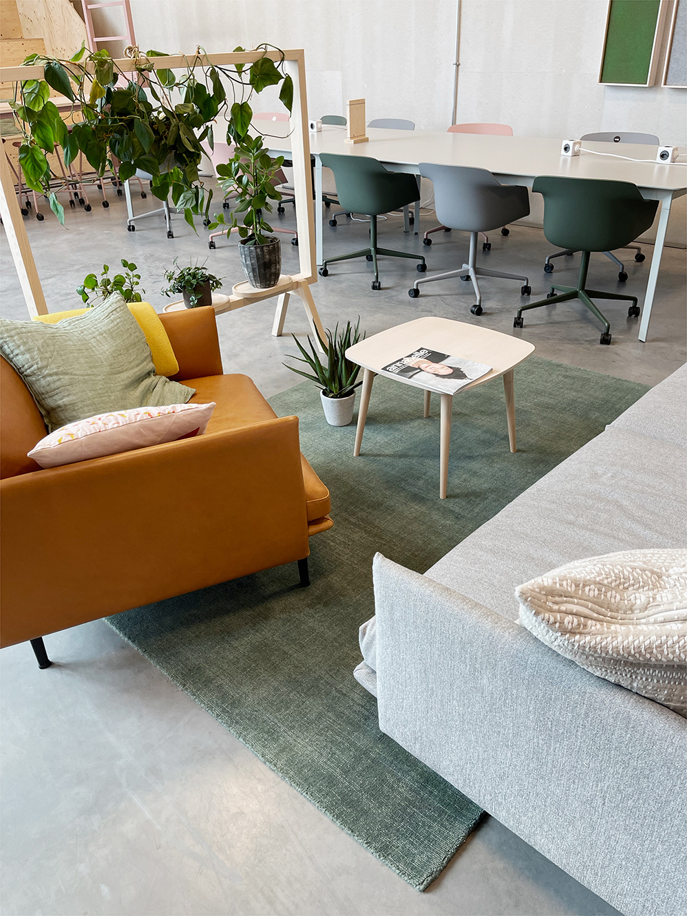 Cloak - Tip sage-green 100% New Zealand Wool rug