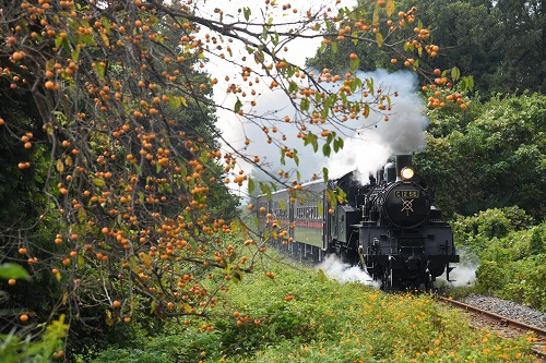 令和4年度 フォトコンテスト【写真部門】 ： 筑西市観光協会