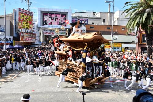 藤井町だんじり紹介 - 岸和田だんじり祭 - 岸和田市公式ウェブサイト