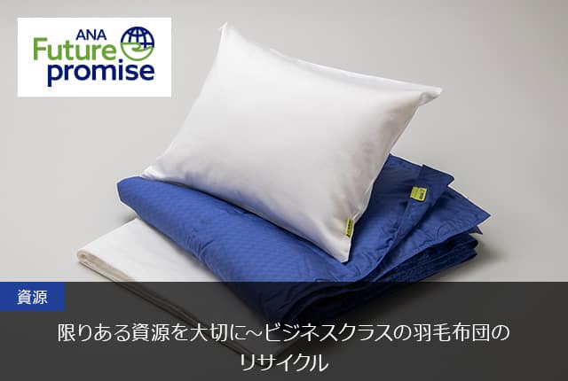 ANA 全日空 国際線 ビジネスクラス 羽毛布団 ブランケット 車中泊 災害