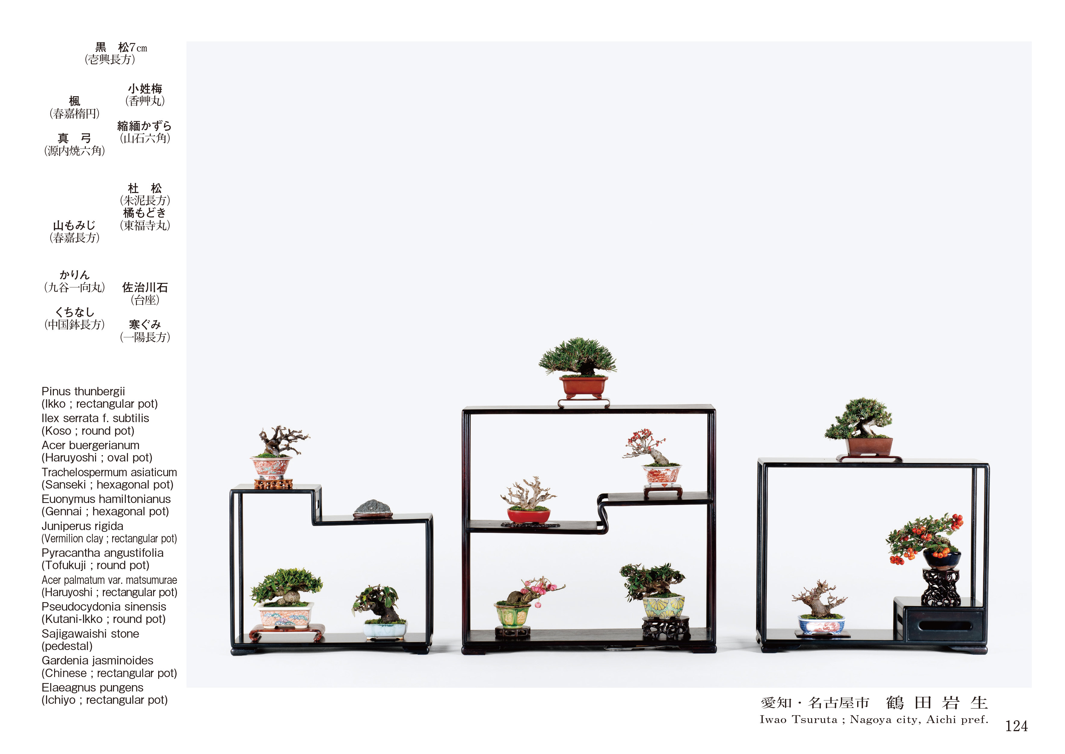 第50回 雅風展記念帖 | 盆栽、盆栽書籍、盆栽鉢の通販│近代出版