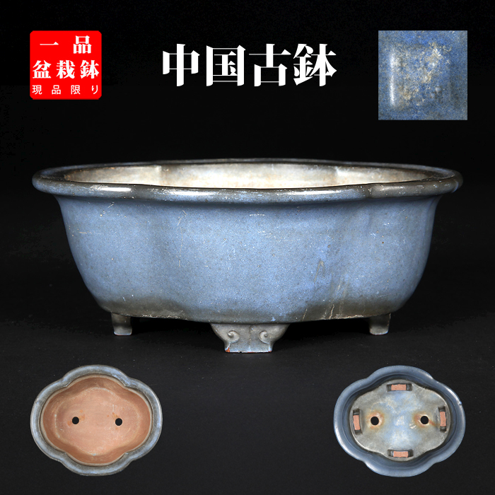 均釉外縁木瓜式鉢 | 盆栽、盆栽書籍、盆栽鉢の通販│近代出版