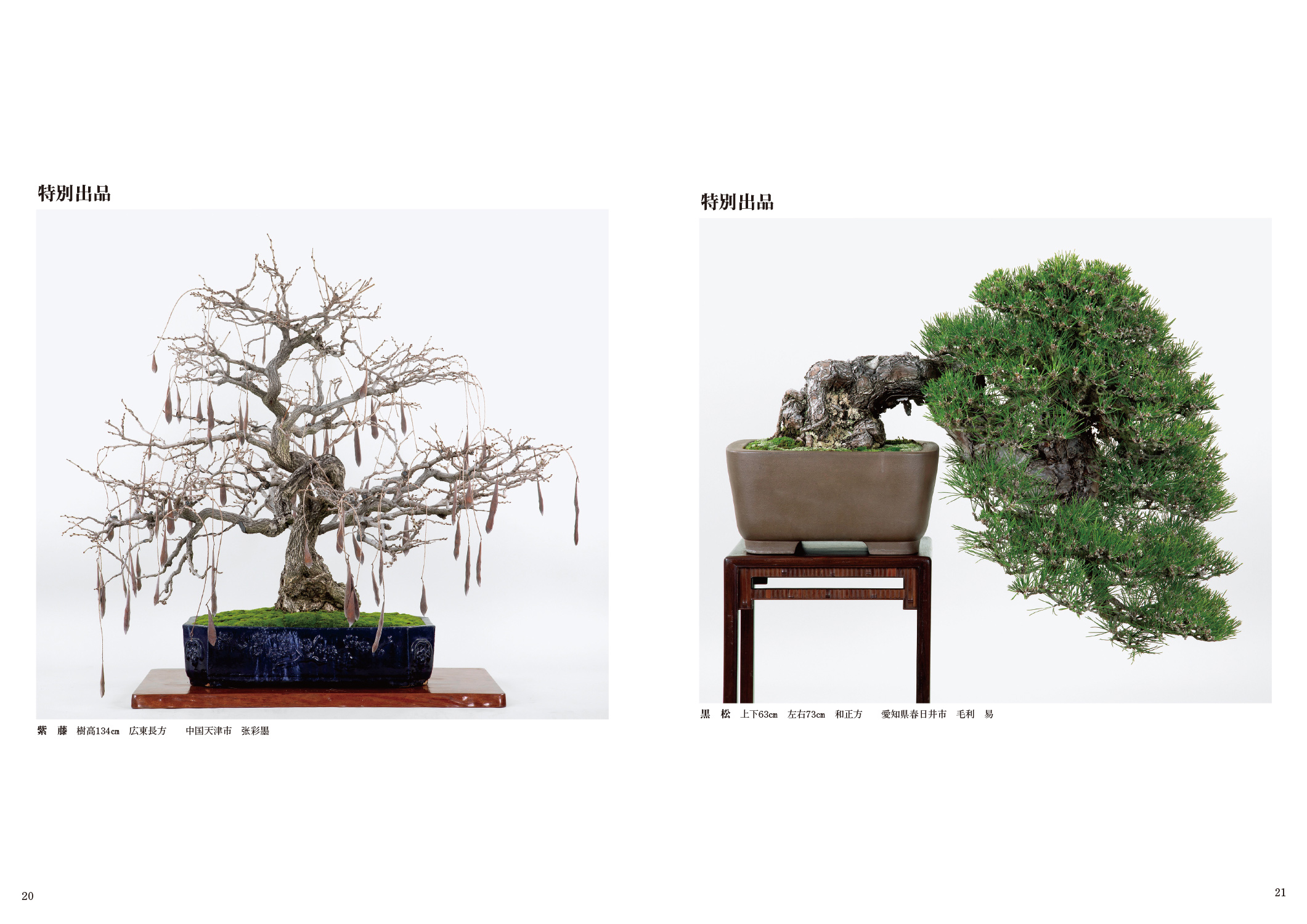 第91回 銘風盆栽展 記念帖 | 盆栽、盆栽書籍、盆栽鉢の通販│近代出版