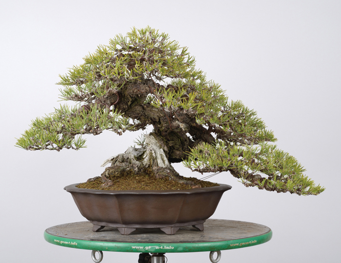 油圧式回転作業台Green-T（丸型プラス） | 盆栽、盆栽書籍、盆栽鉢の