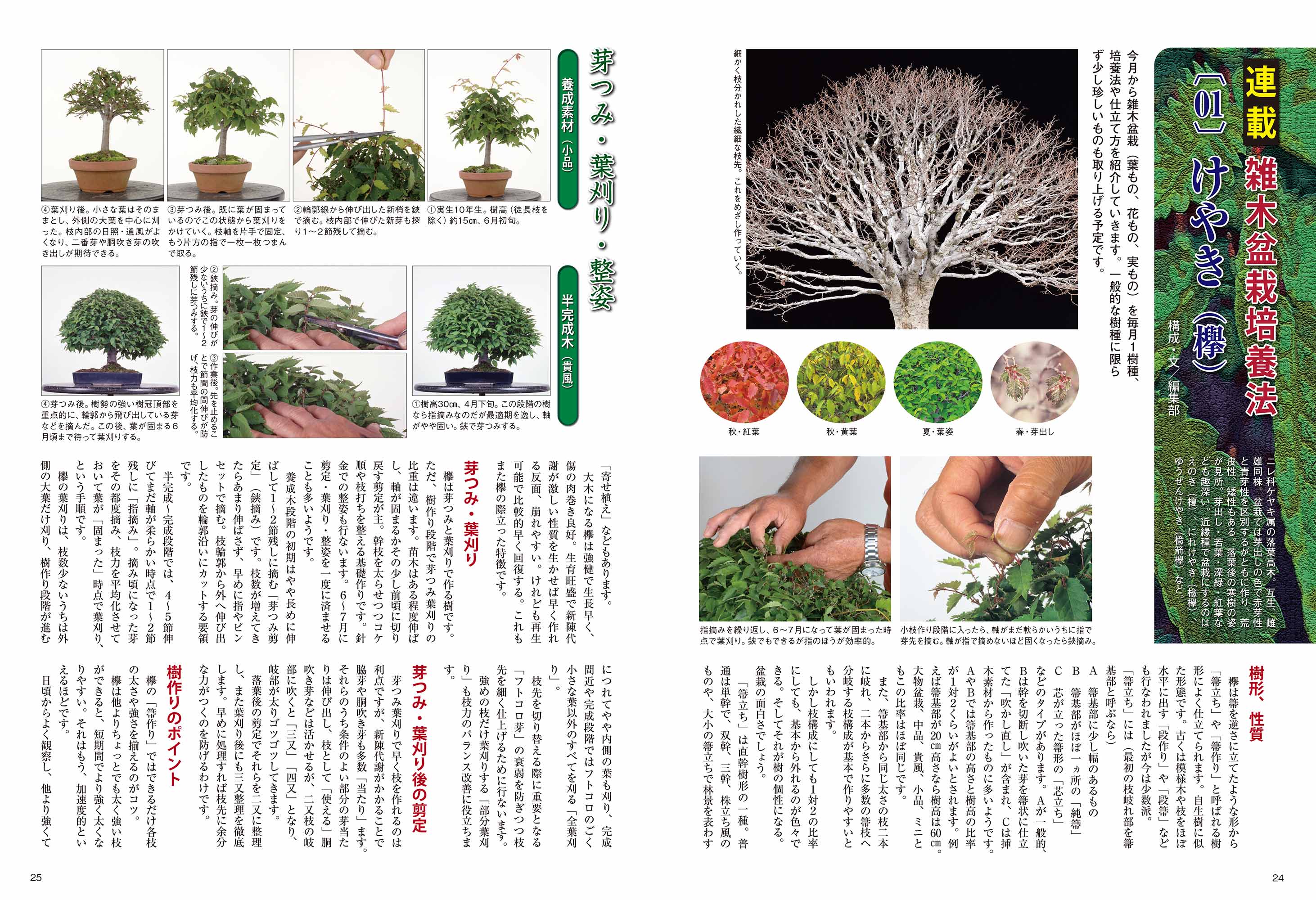 月刊「近代盆栽」2025年7月号 | 盆栽、盆栽書籍、盆栽鉢の通販│近代出版