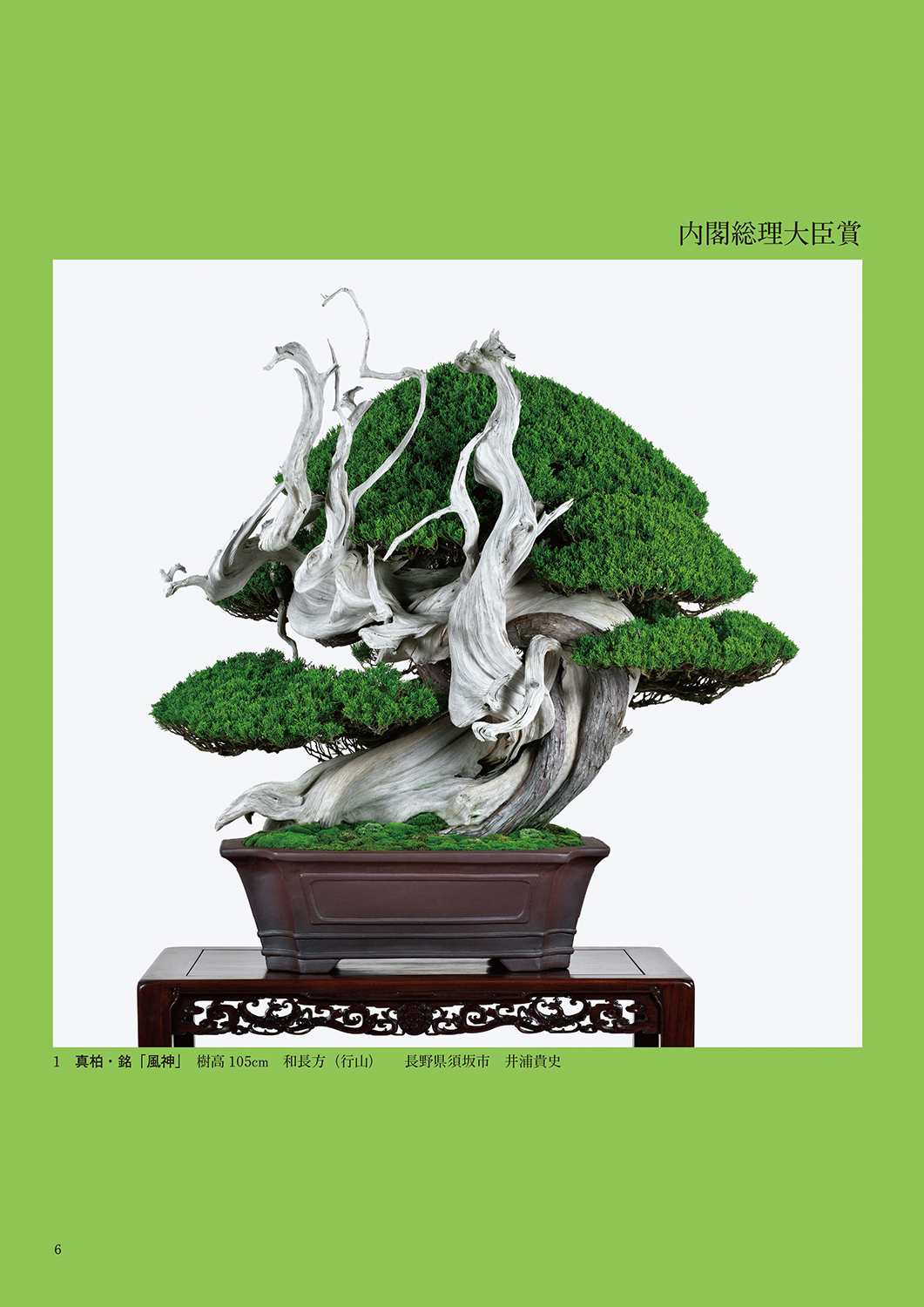 第49回 日本盆栽作風展 記念帖 | 盆栽、盆栽書籍、盆栽鉢の通販│近代出版