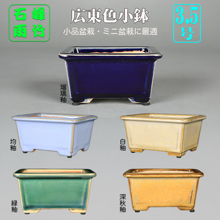 広東額面長方鉢〔石峰雨竹〕 | 盆栽、盆栽書籍、盆栽鉢の通販│近代出版