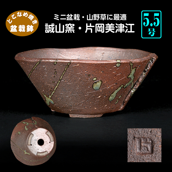 誠山窯・片岡美津江作 タタラ合わせ鉢 | 盆栽、盆栽書籍、盆栽鉢の通販