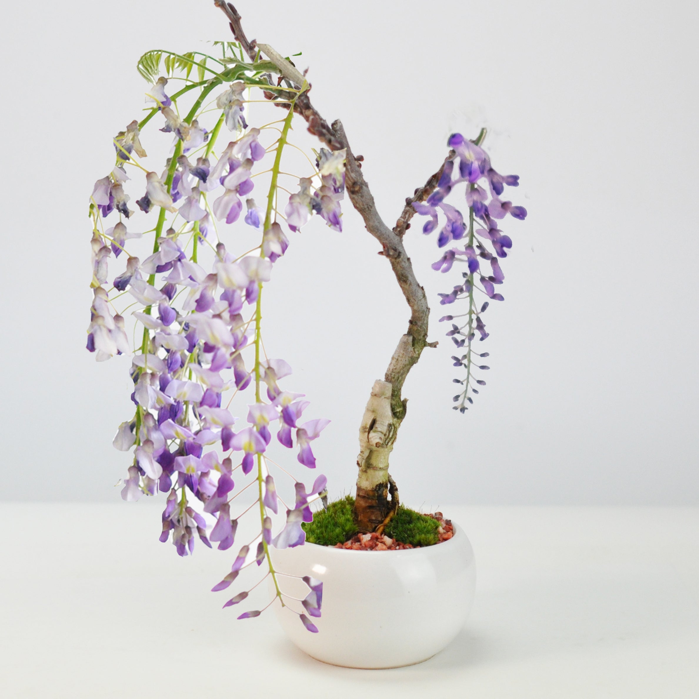 m2775_32674efc-5813-4646-9f79-