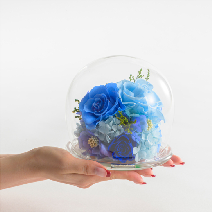 プリザーブドフラワー ガラスドームL