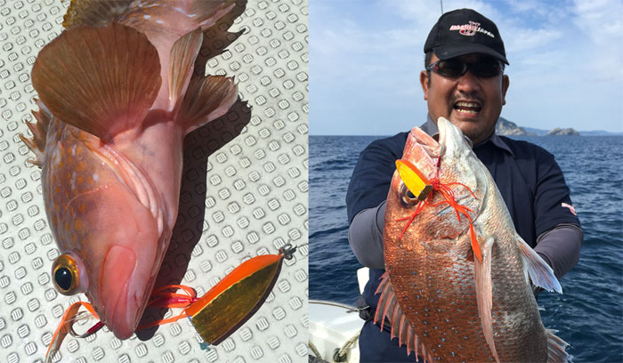 全5色】ダミキジャパン ビッグマウスカーリー 100g DAMIKI JAPAN