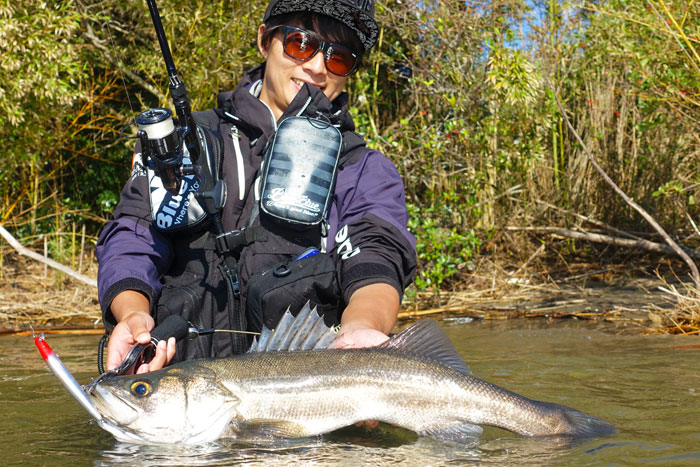 ブルーブルー バルバル99 ジャーキングエディション BlueBlue - 【バス