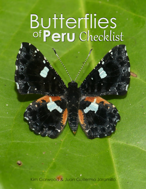 Peru - Butterfly Catalogs