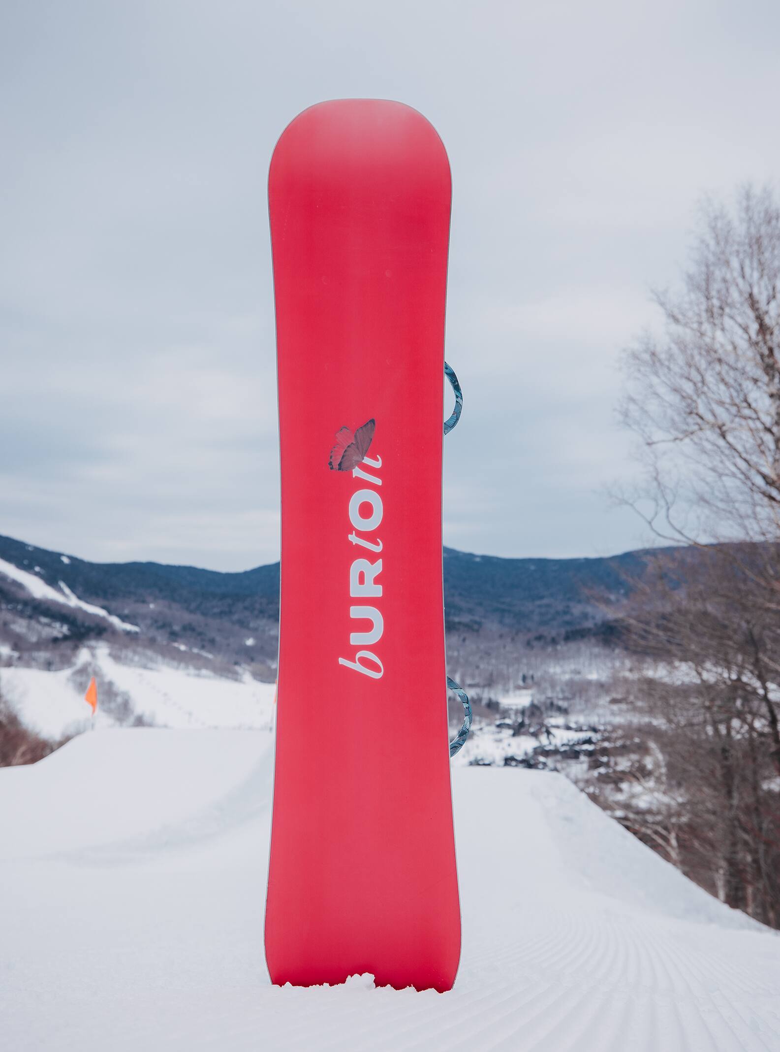 Women's Burton Talent Scout Camber Snowboard | Park | Burton.com