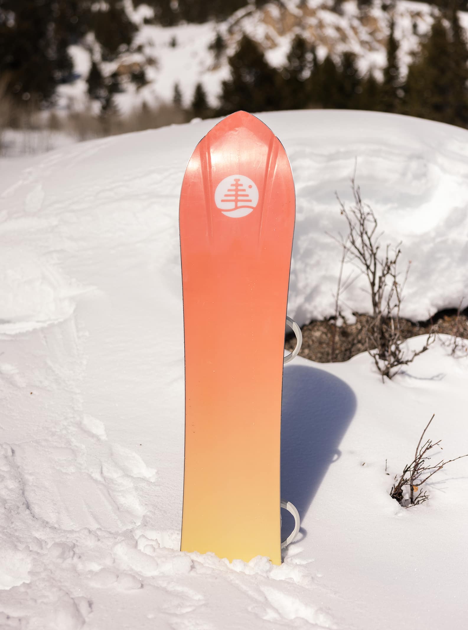 Burton Family Tree 3D Deep Daze Flat Top Snowboard | Burton.com