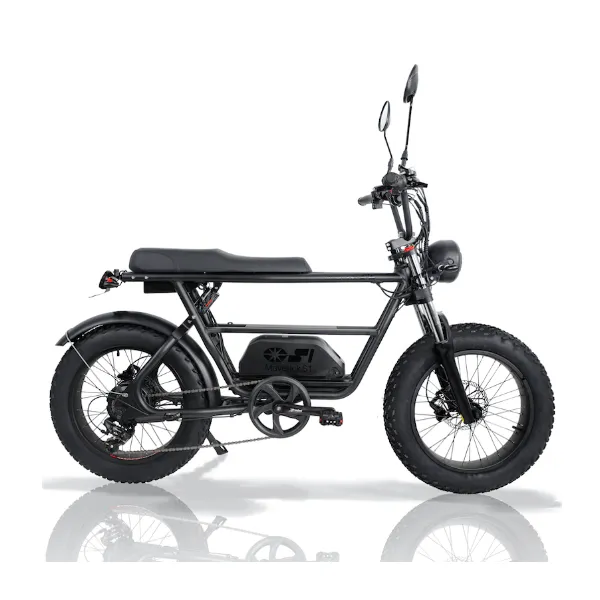 公道可能な電動モペット（フル電動自転車）をこだわり別で比較、購入