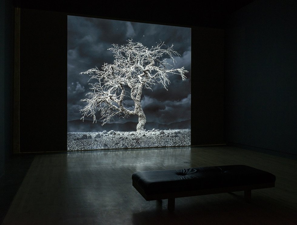 Kelly Richardson - Galleries West