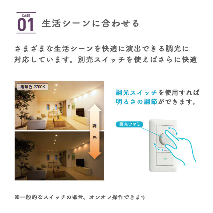 防雨型 ダウンライト Φ125mm 電球色 60W | ブラック｜照明の