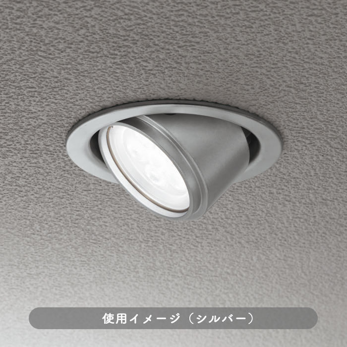 ユニバーサル式 ダウンライト Φ100mm【軒下・室内兼用】｜照明の